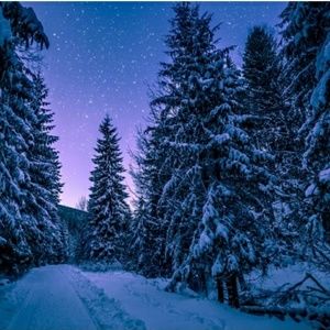 Meet your Posher, Tj